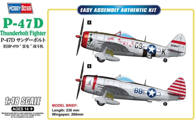 P-47D Thunderbolt Fighter
