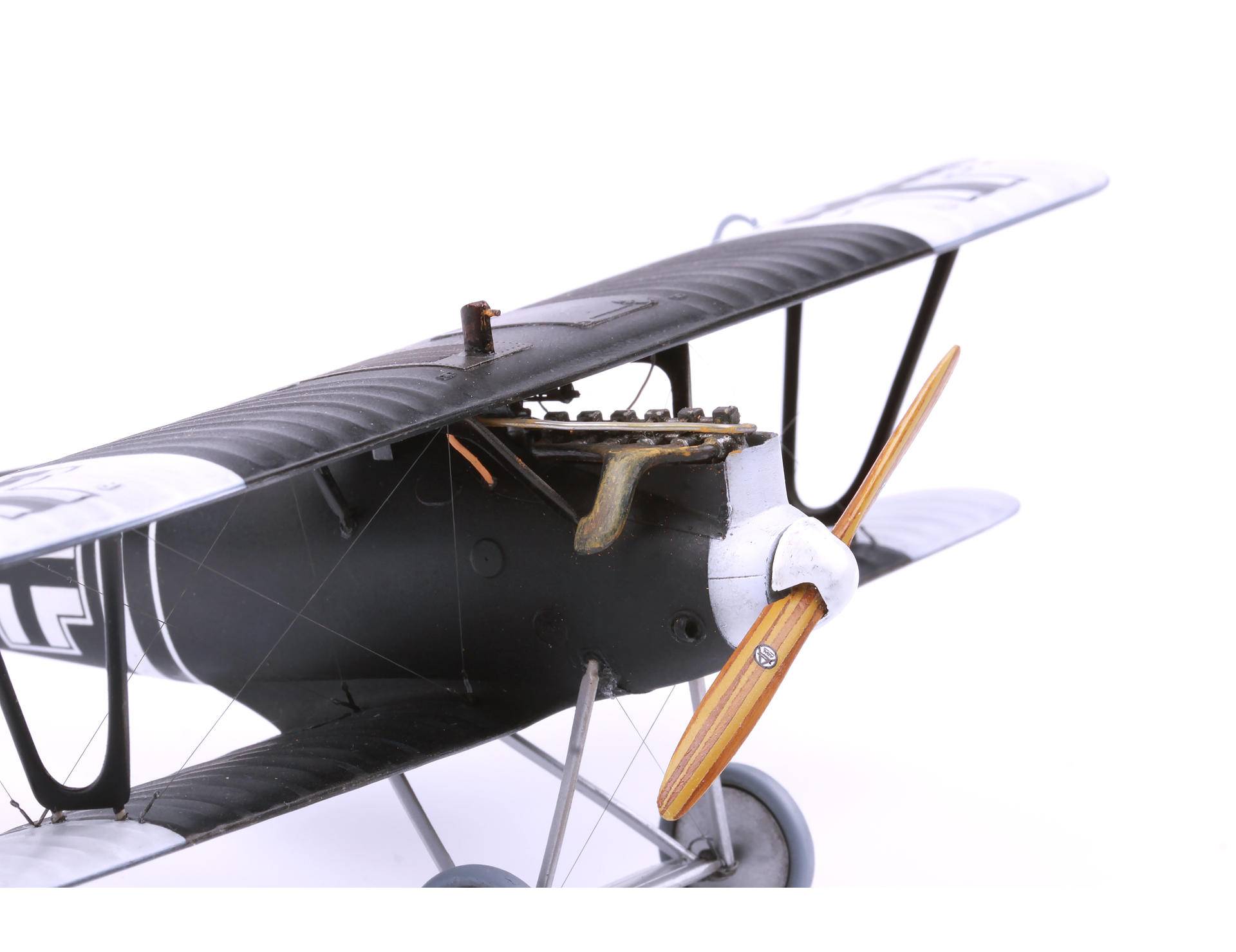 Pfalz D. IIIa – Image 4