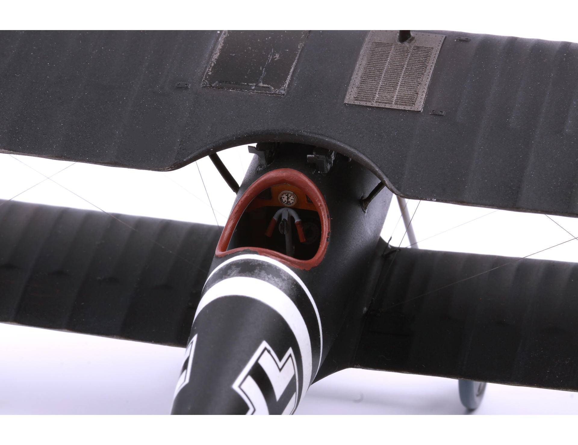 Pfalz D. IIIa – Image 5