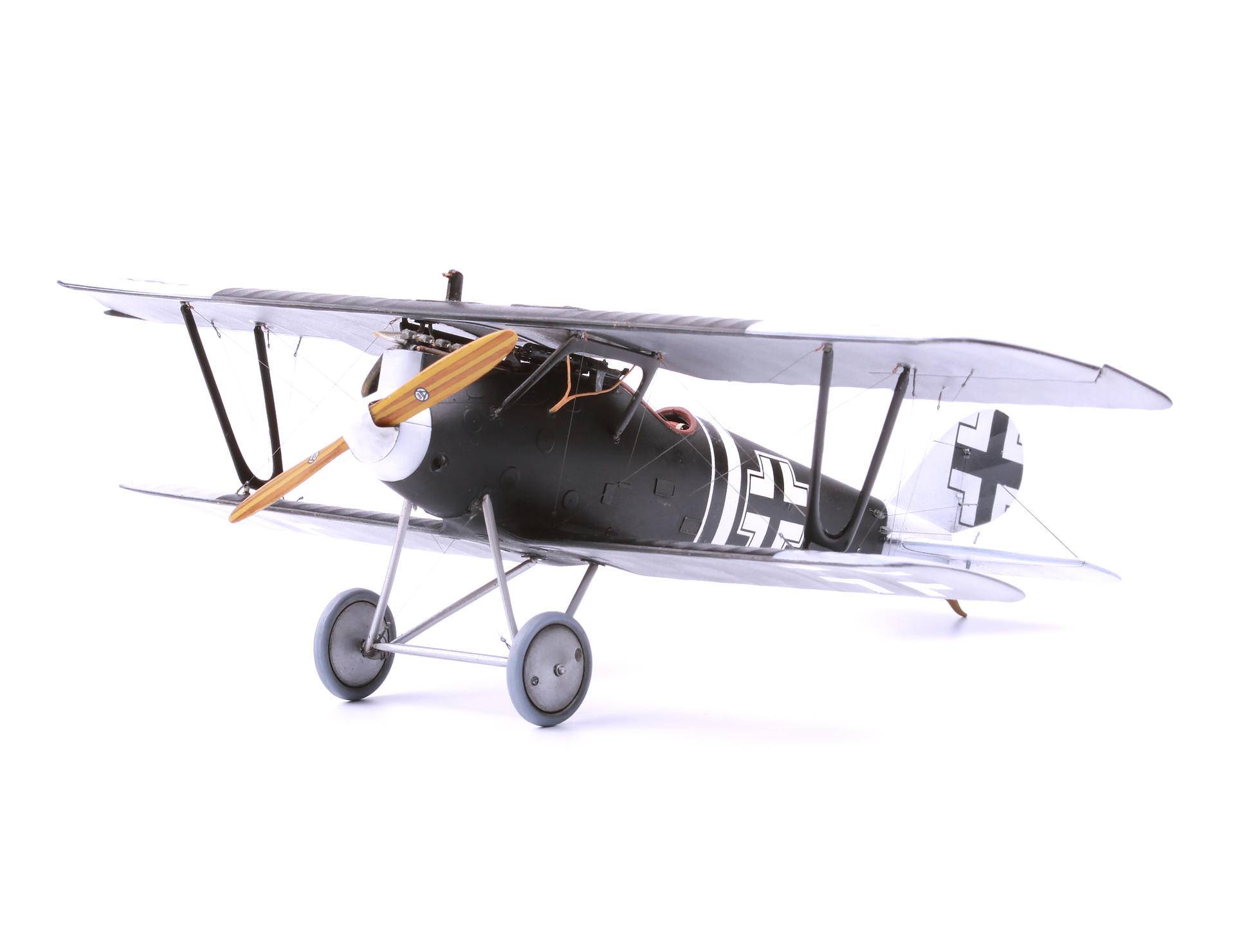Pfalz D. IIIa – Image 8