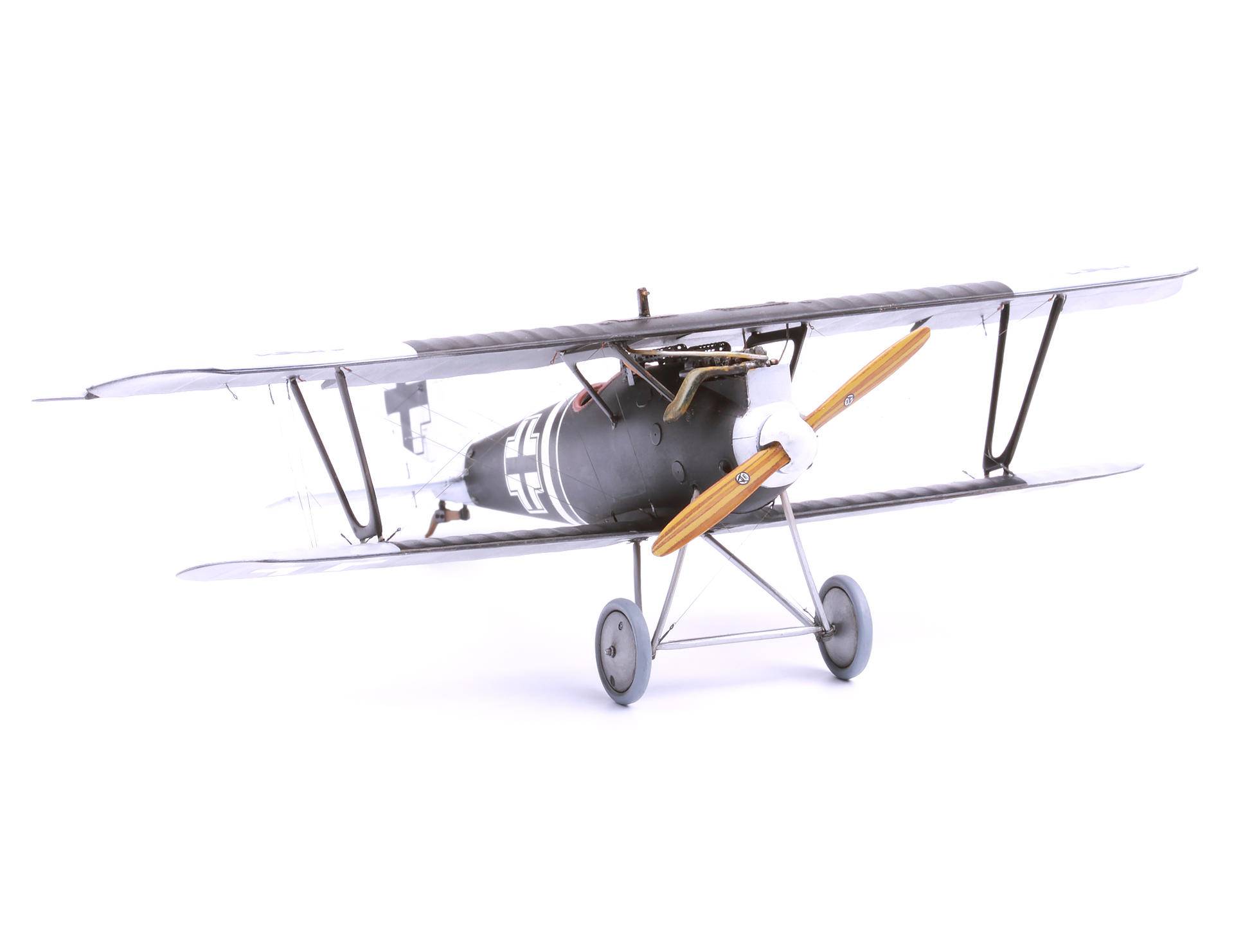 Pfalz D. IIIa – Image 10