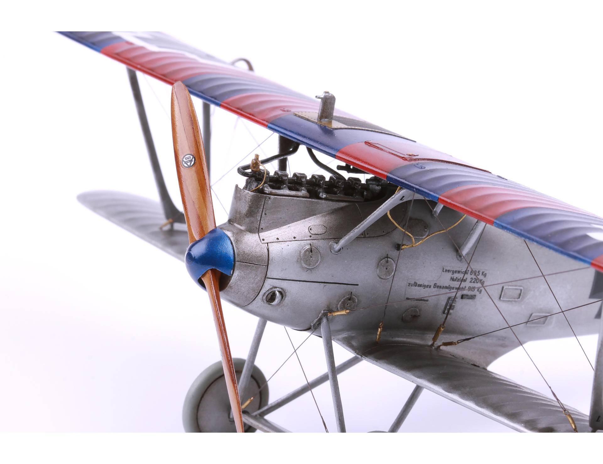 Pfalz D. IIIa – Image 12
