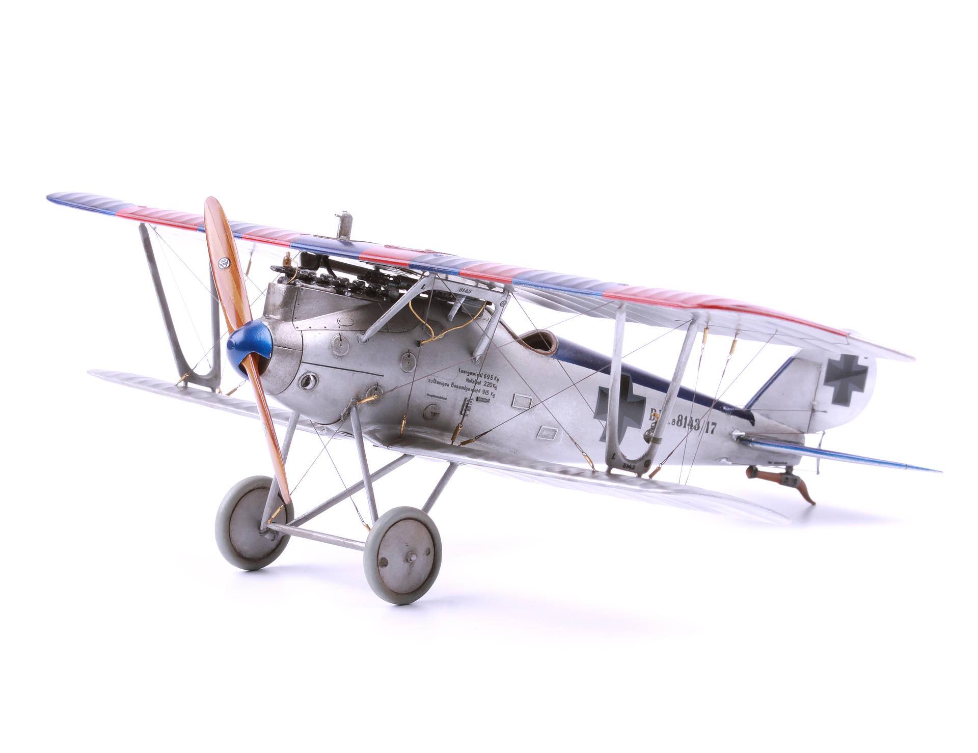Pfalz D. IIIa – Image 16
