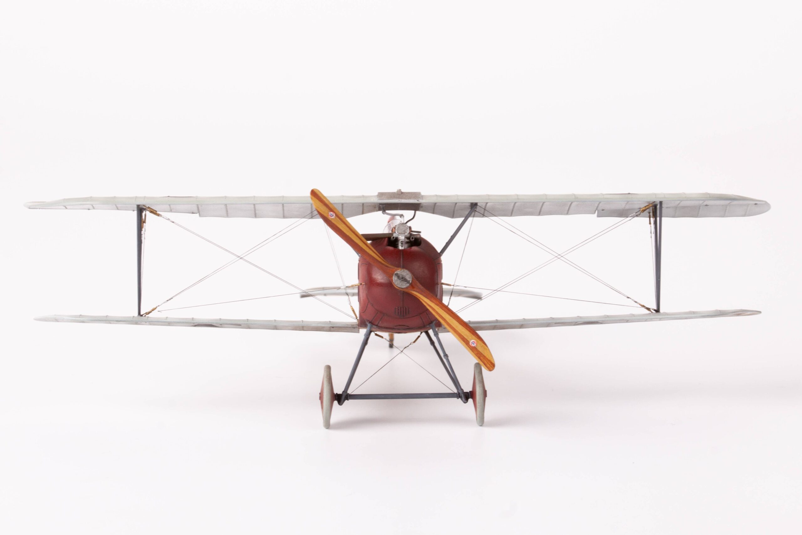 Viribus Unitis – Image 19