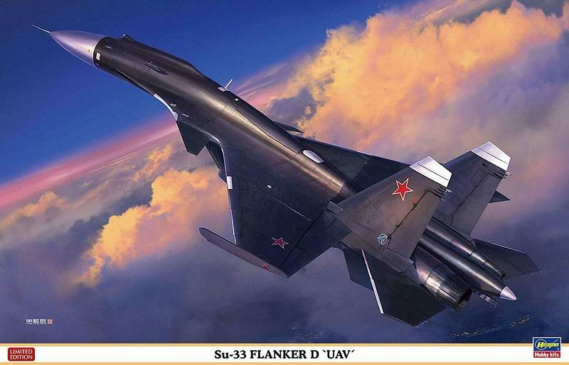Su-33 Flanker D 'UAV'