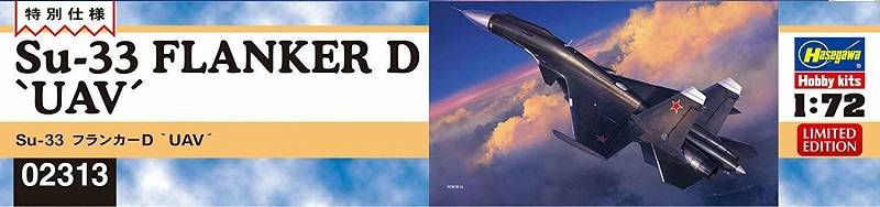 Su-33 Flanker D 'UAV' – Image 2