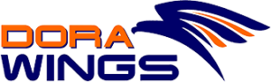 DORA WINGS