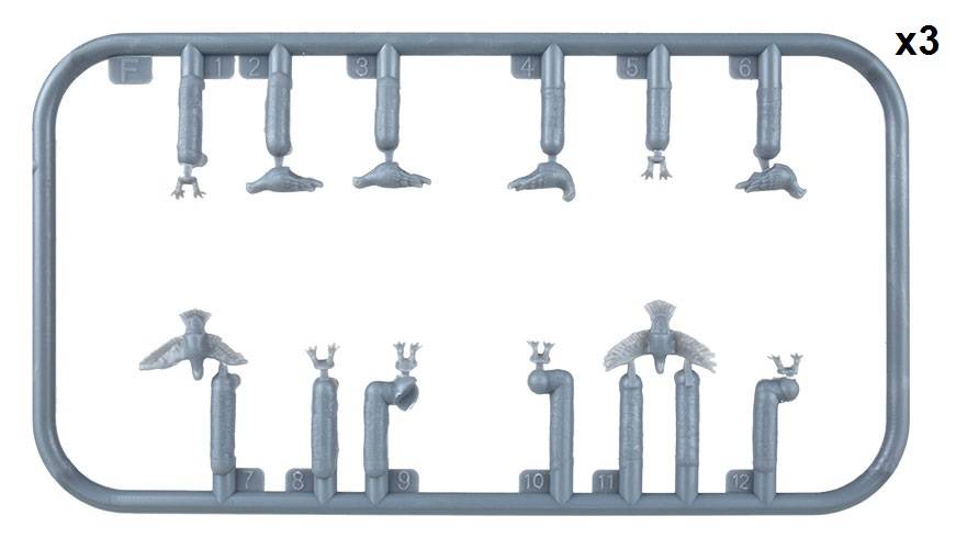 PIGEONS – Image 4