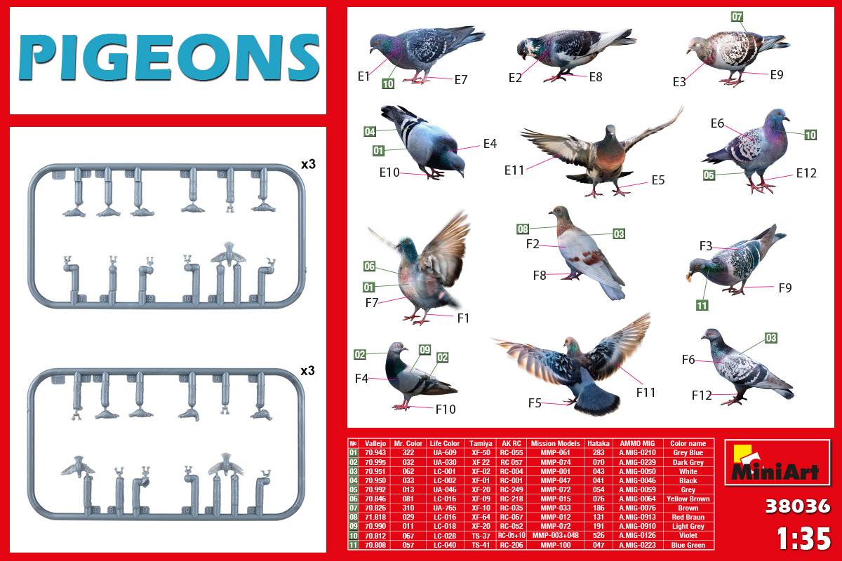 PIGEONS – Image 2