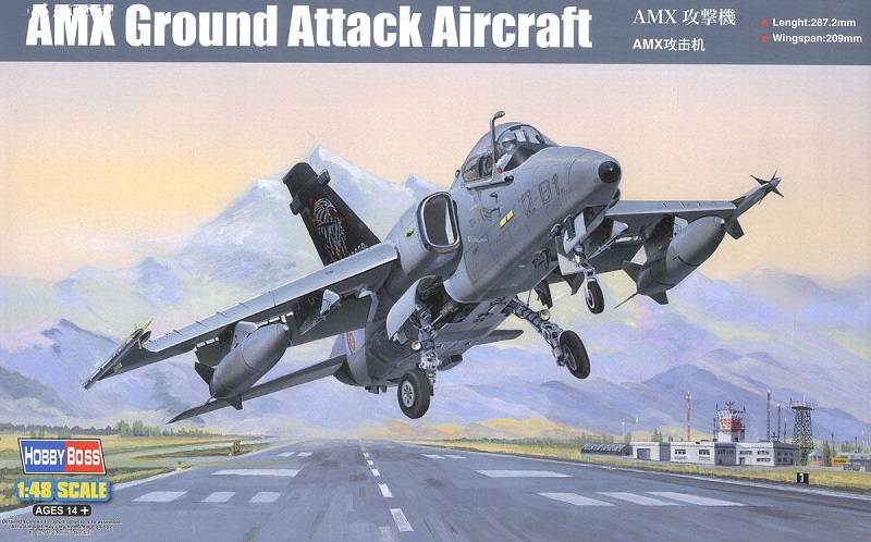 AMX Ground Attack Aircraft