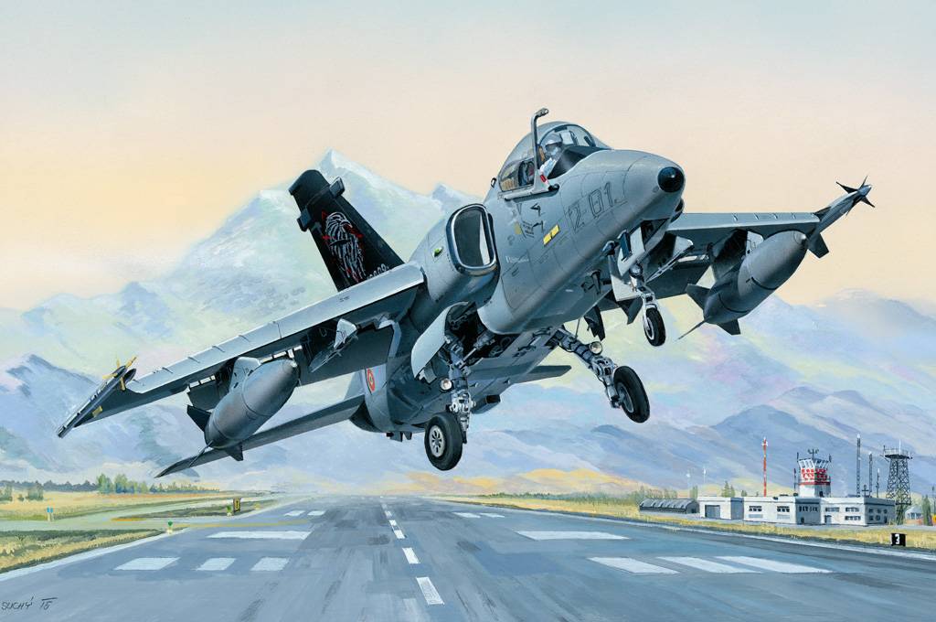 AMX Ground Attack Aircraft – Image 8