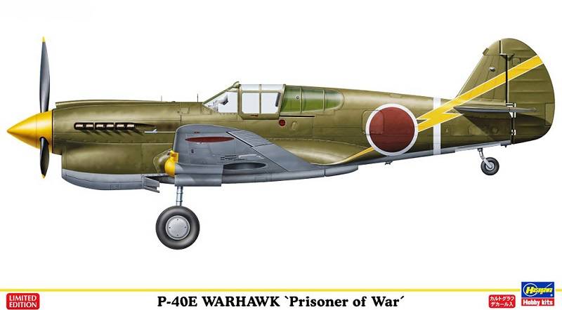 P-40E Warhawk `Prisoner of War`