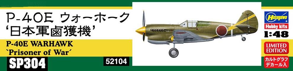 P-40E Warhawk `Prisoner of War` – Image 2