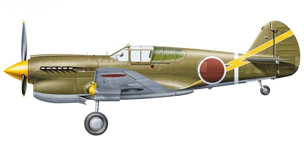 P-40E Warhawk `Prisoner of War` – Image 3