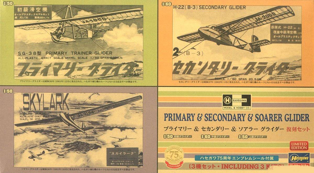 Primary & Secondary & Soarer Glider