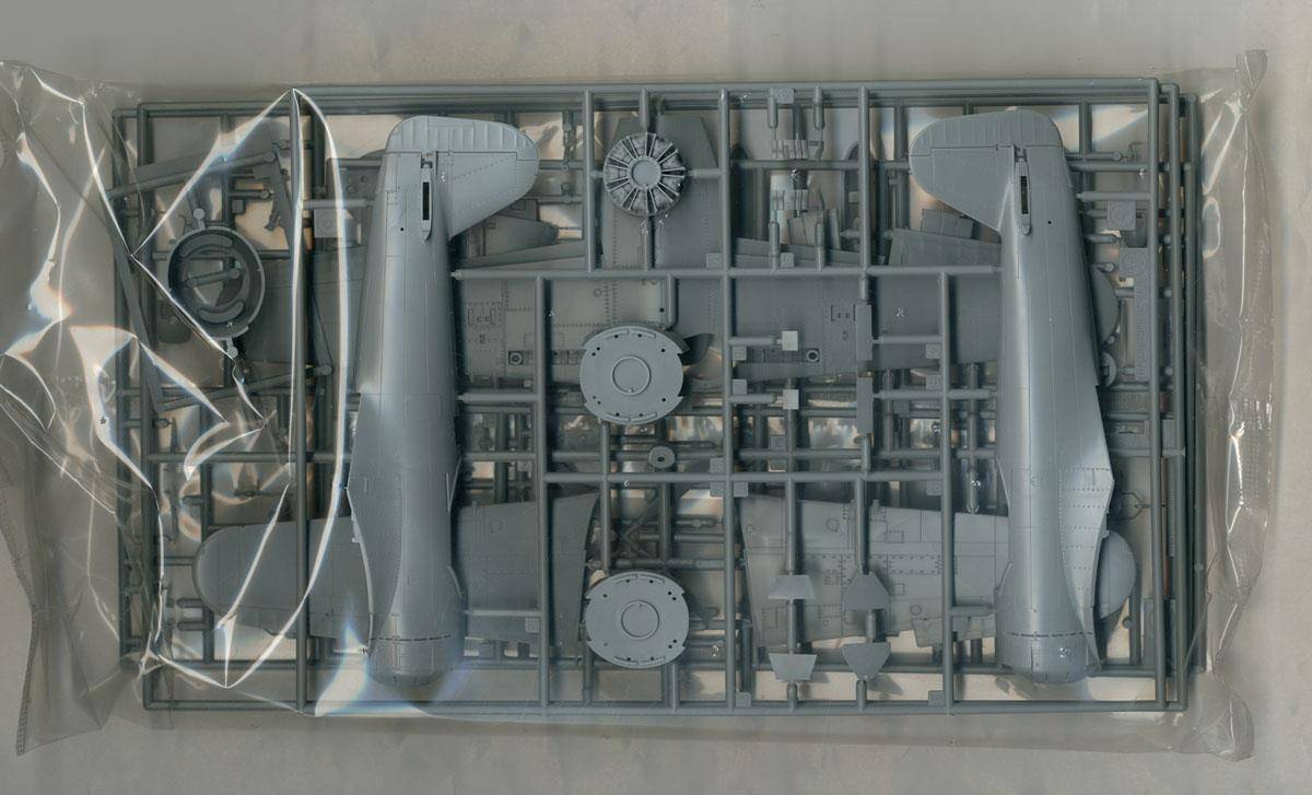 Shidenkai No Maki Kawanishi N1K2-J Shidenkai (George) – Image 4