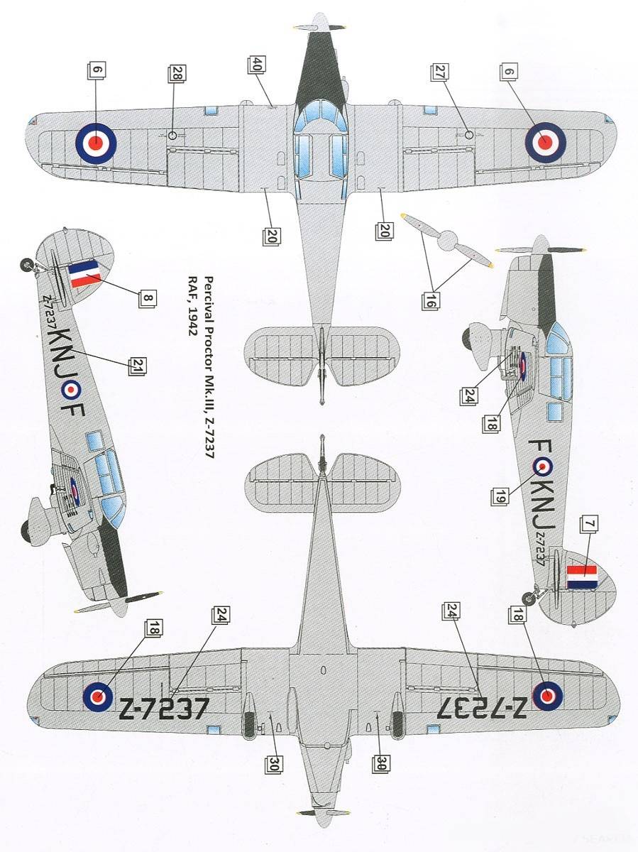 Percival Proctor Mk.III – Image 8