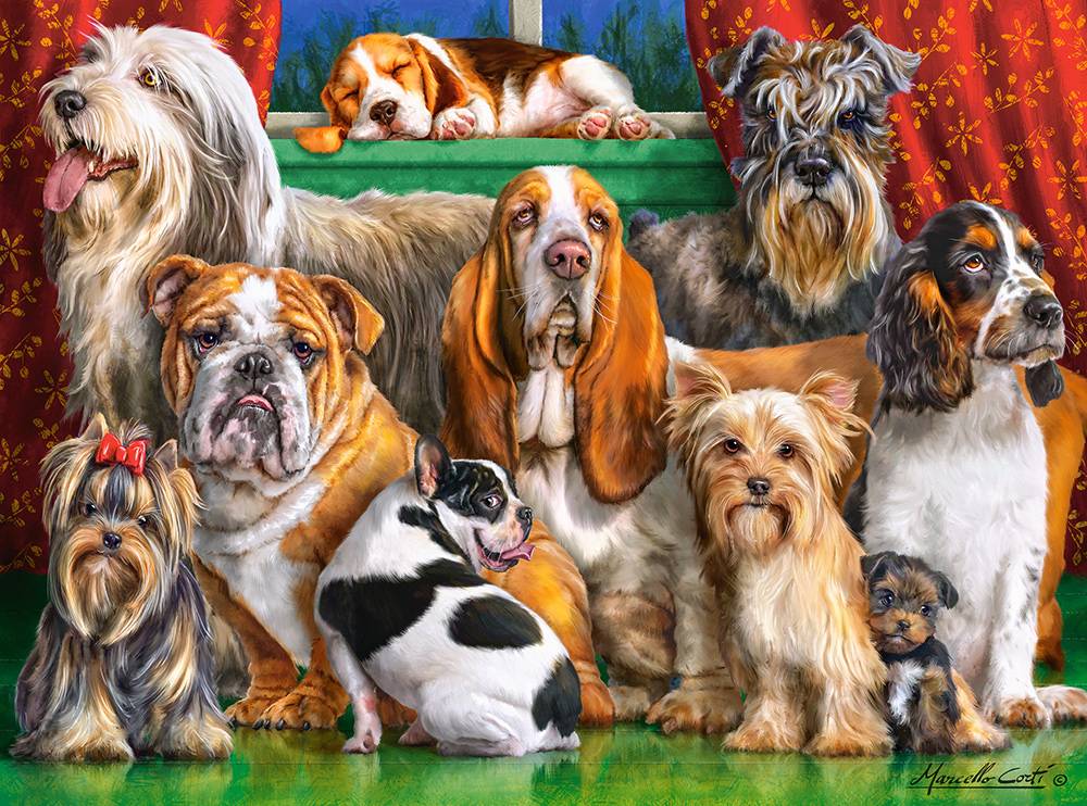 DOG CLUB – Image 2