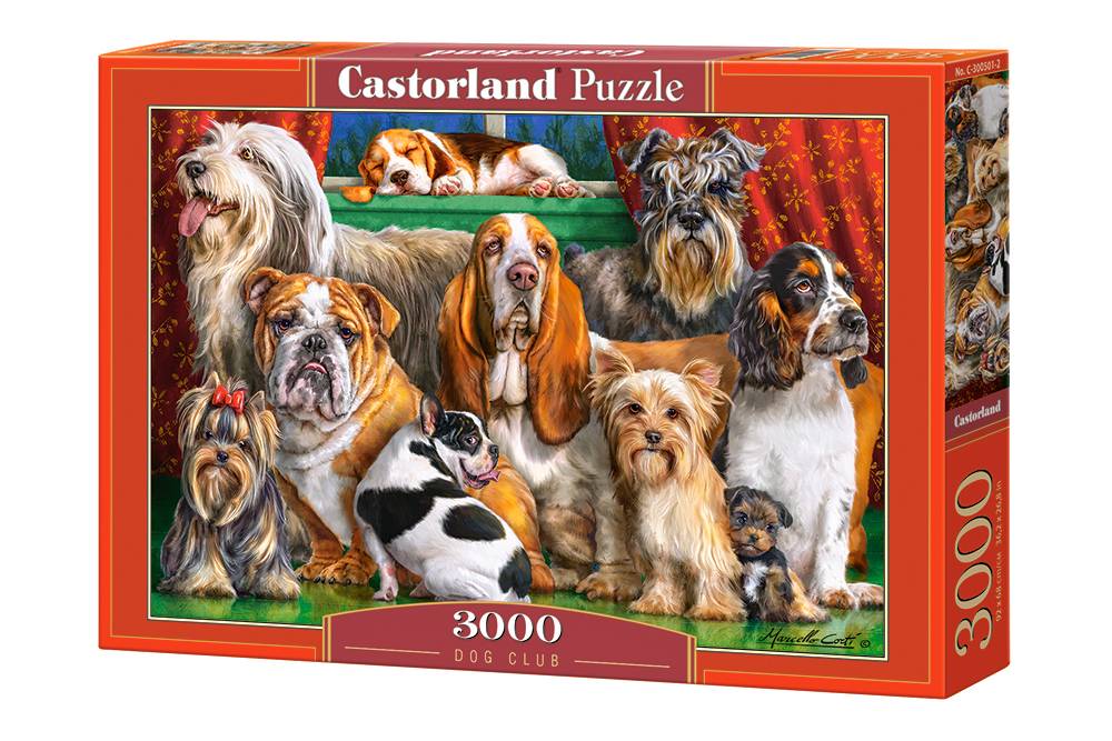 DOG CLUB