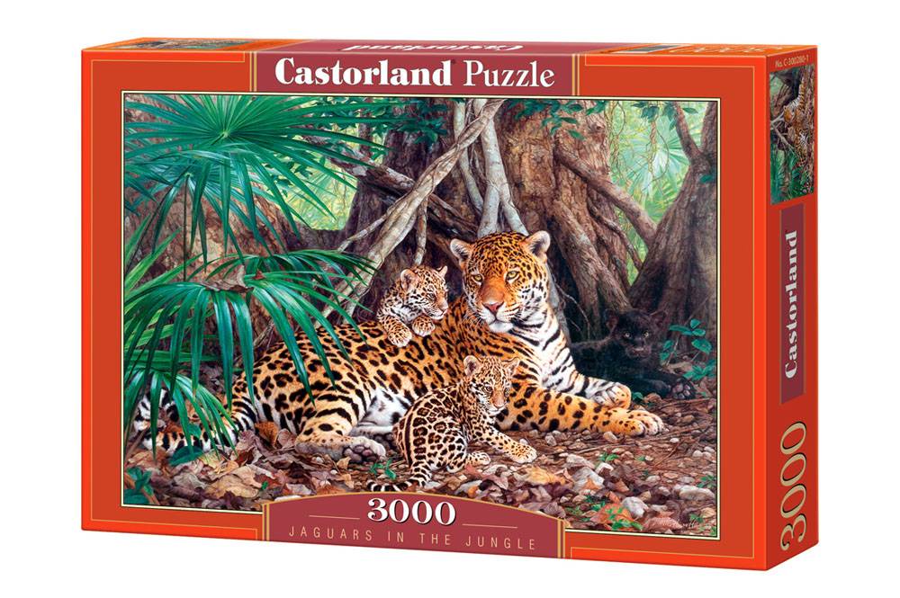 JAGUARS IN THE JUNGLE