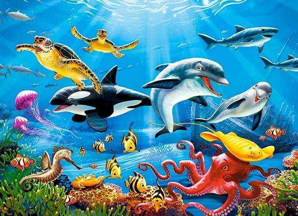 TROPICAL UNDERWATER WORLD – Image 2