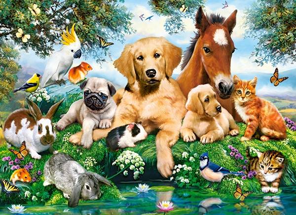 SUMMER PALS – Image 2