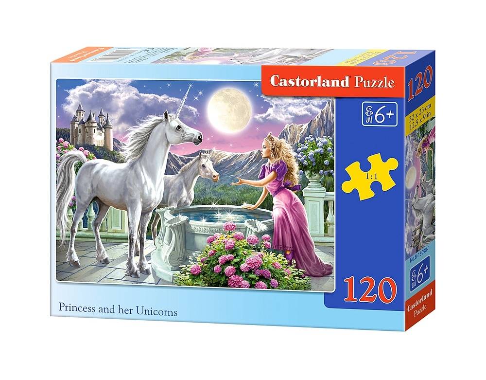 PRINCESS AND HER UNICORNS