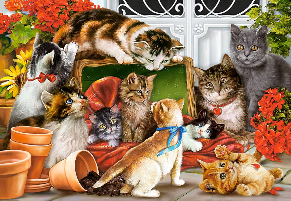 KITTENS PLAY TIME – Image 2