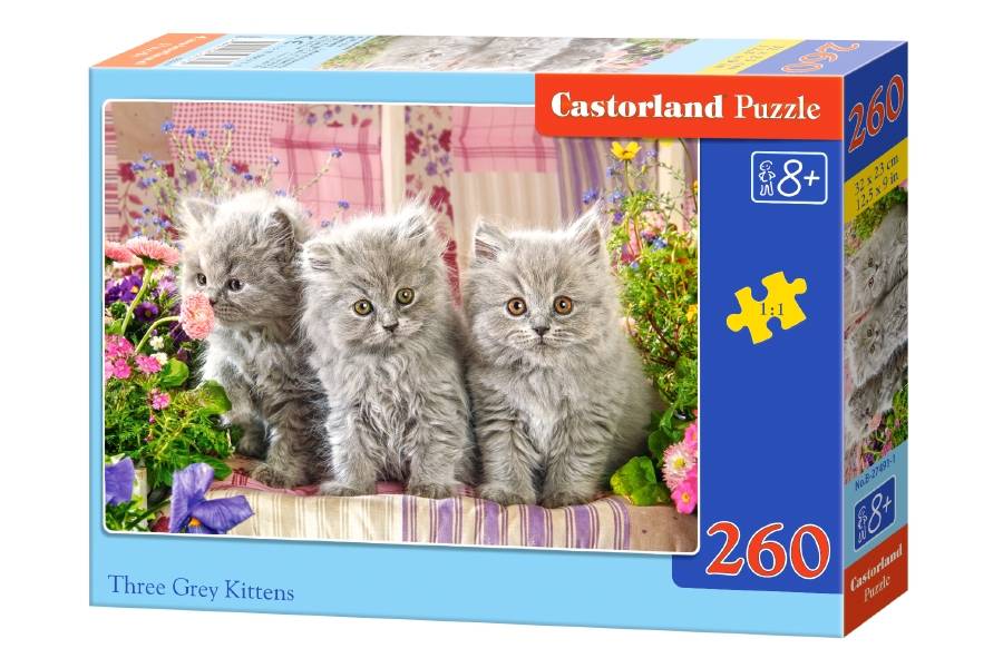 THREE GREY KITTENS
