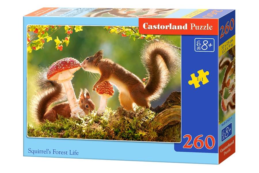 SQUIRREL'S FOREST LIFE