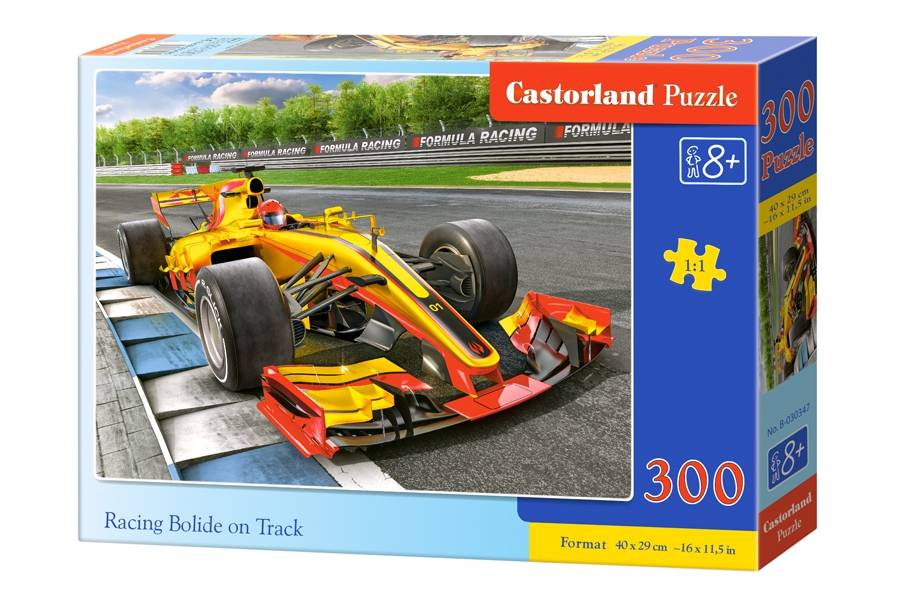 RACING BOLIDE ON TRACK