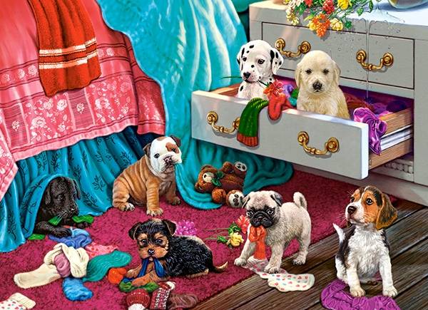 PUPPIES IN THE BEDROOM – Image 2