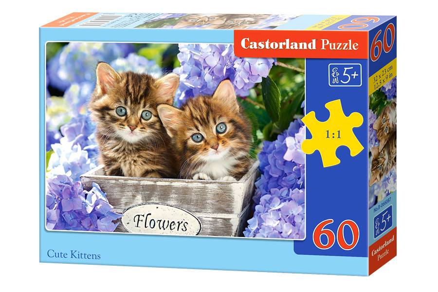 CUTE KITTENS