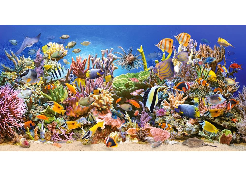 UNDERWATER LIFE – Image 2