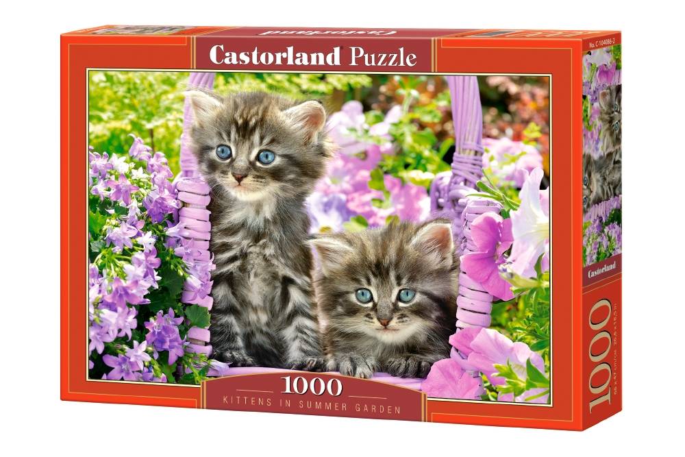 KITTEN IN SUMMER GARDEN