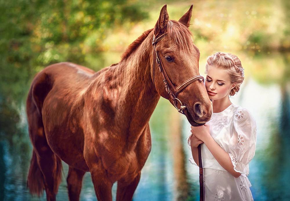 BEAUTY AND GENTLENESS – Image 2