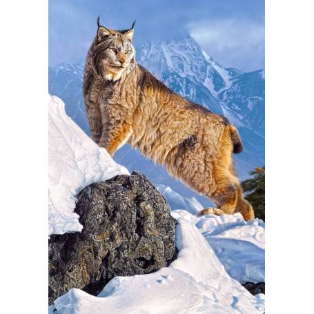 AUSTERE ASCENT – Image 2