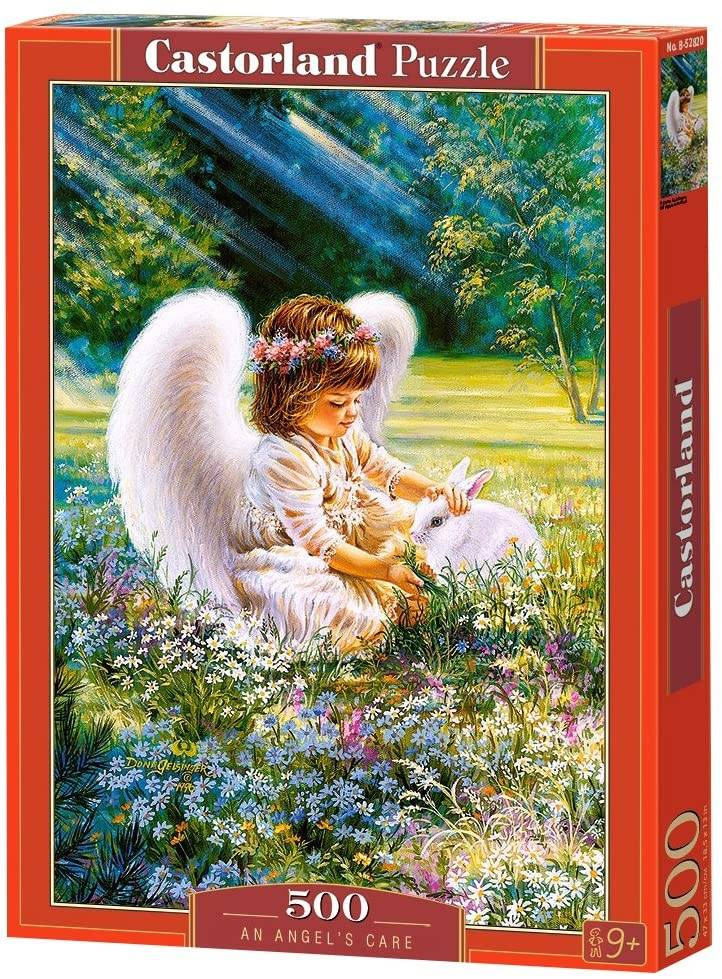 AN ANGEL'S CARE
