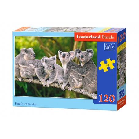 FAMILY OF KOALAS