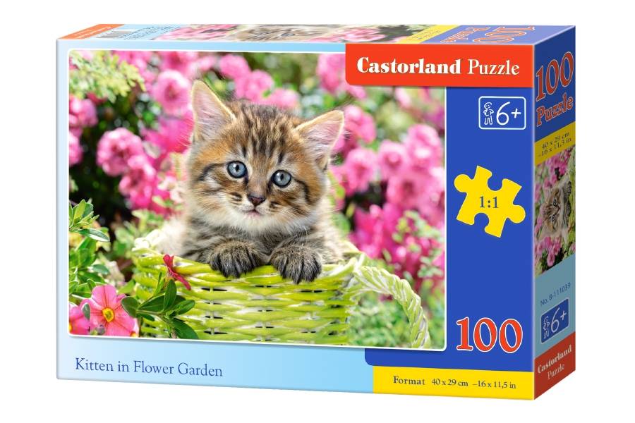 KITTEN IN FLOWER GARDEN