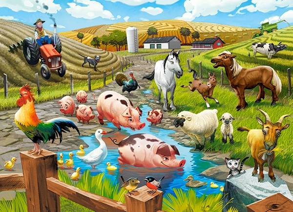 LIFE ON THE FARM – Image 2