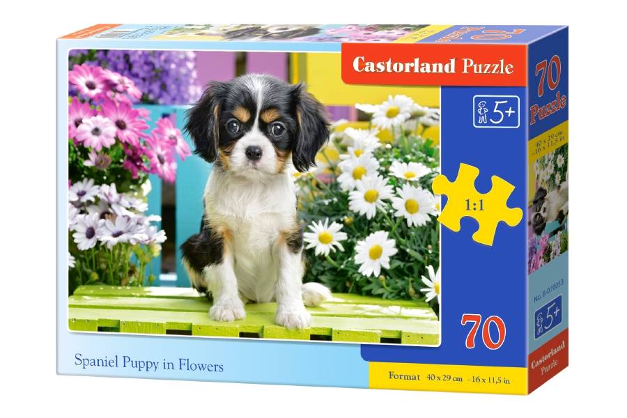 SPANIEL PUPPY IN FLOWERS