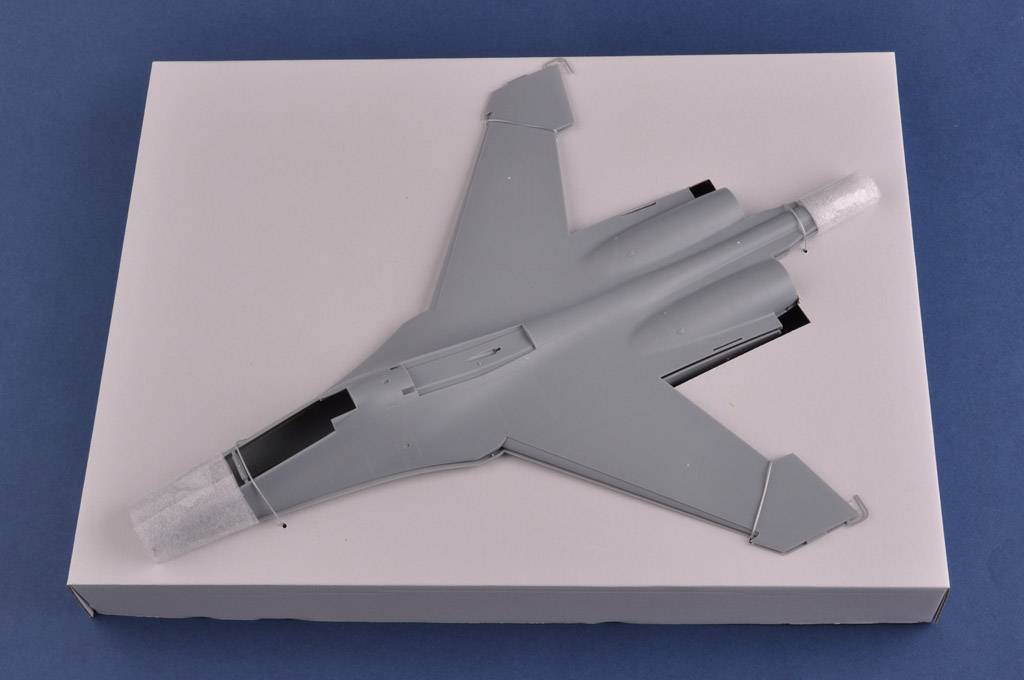 Su-27UB Flanker C – Image 7