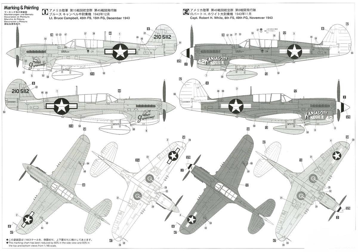 P-40N Warhawk – Image 7