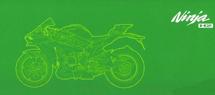 Kawasaki Ninja H2 (Pre-Colored Edition) – Image 11