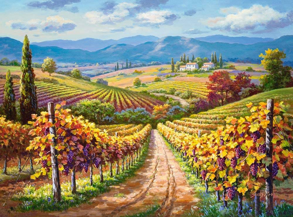 Vineyard Hill – Image 2