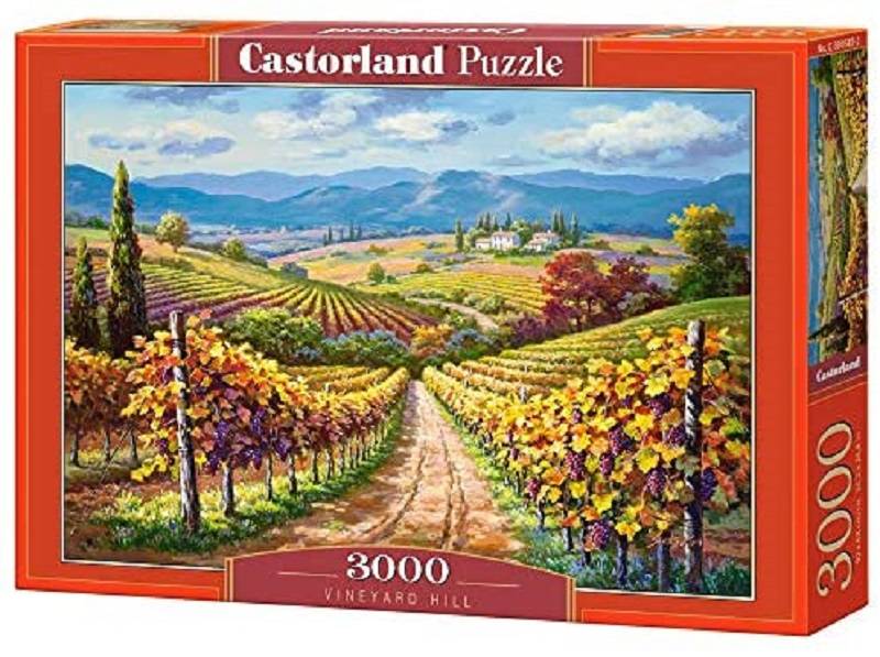 Vineyard Hill