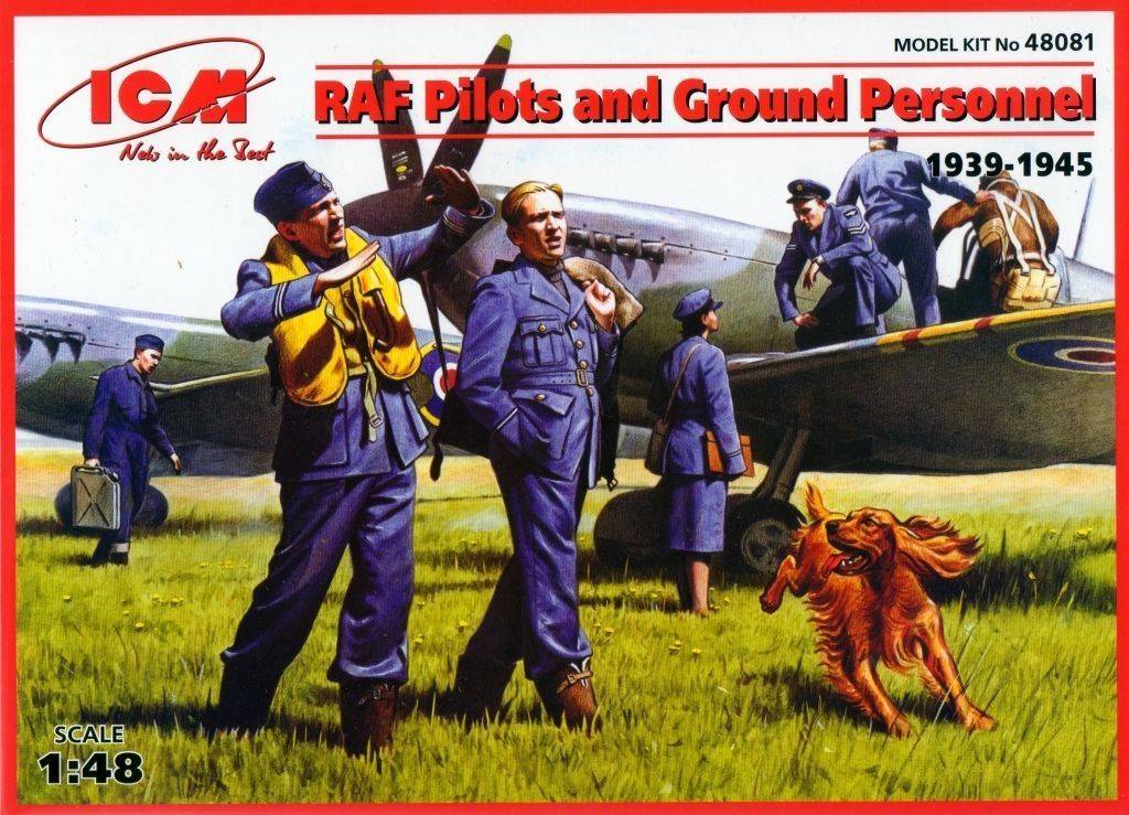RAF Pilots and Ground Personnel (1939-1945)