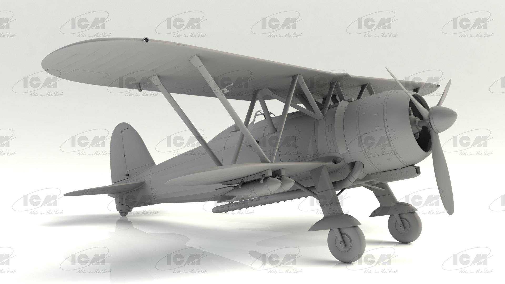 CR. 42 LW with German Pilots – Image 4