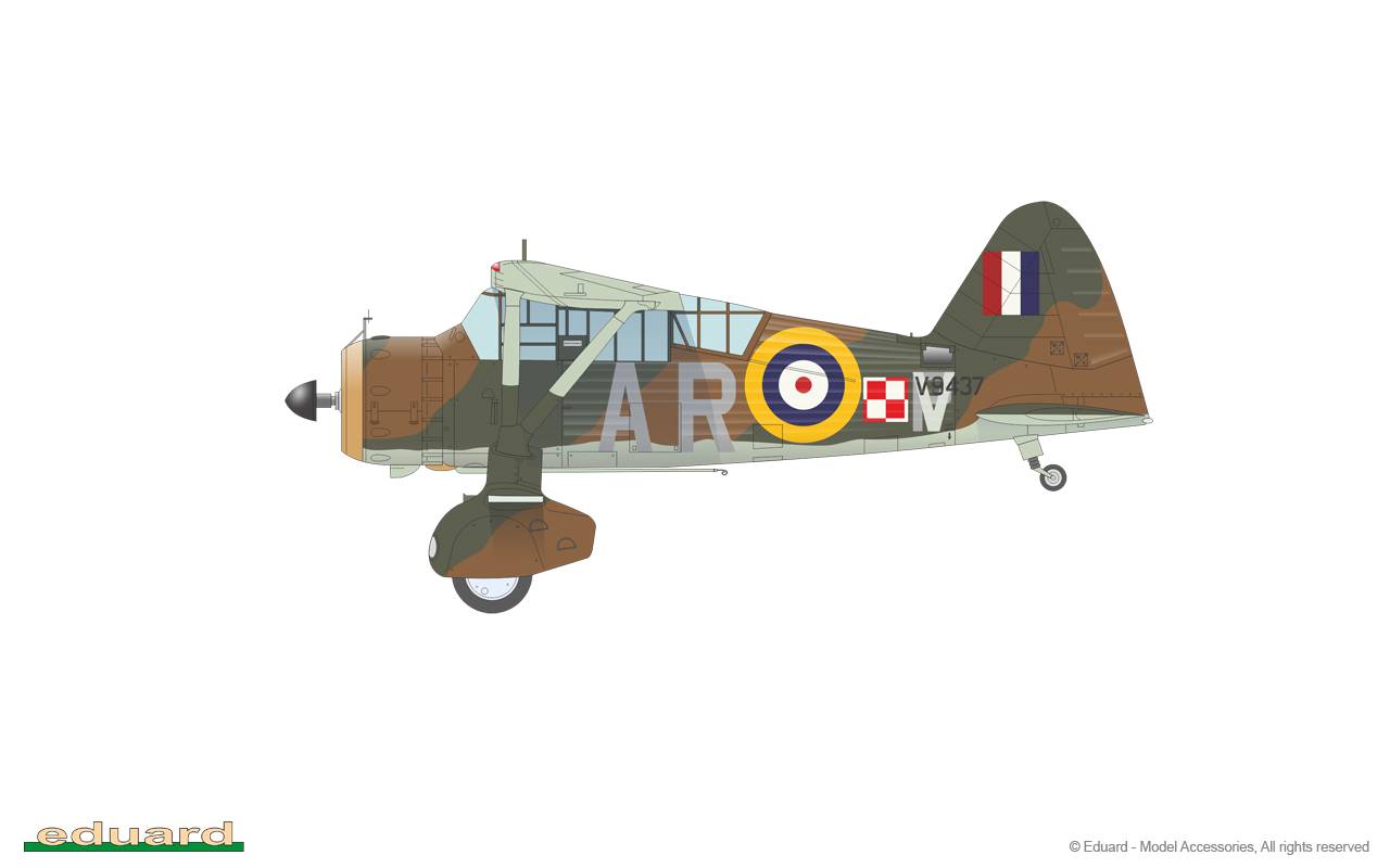 Lysander Limited Edition – Image 11